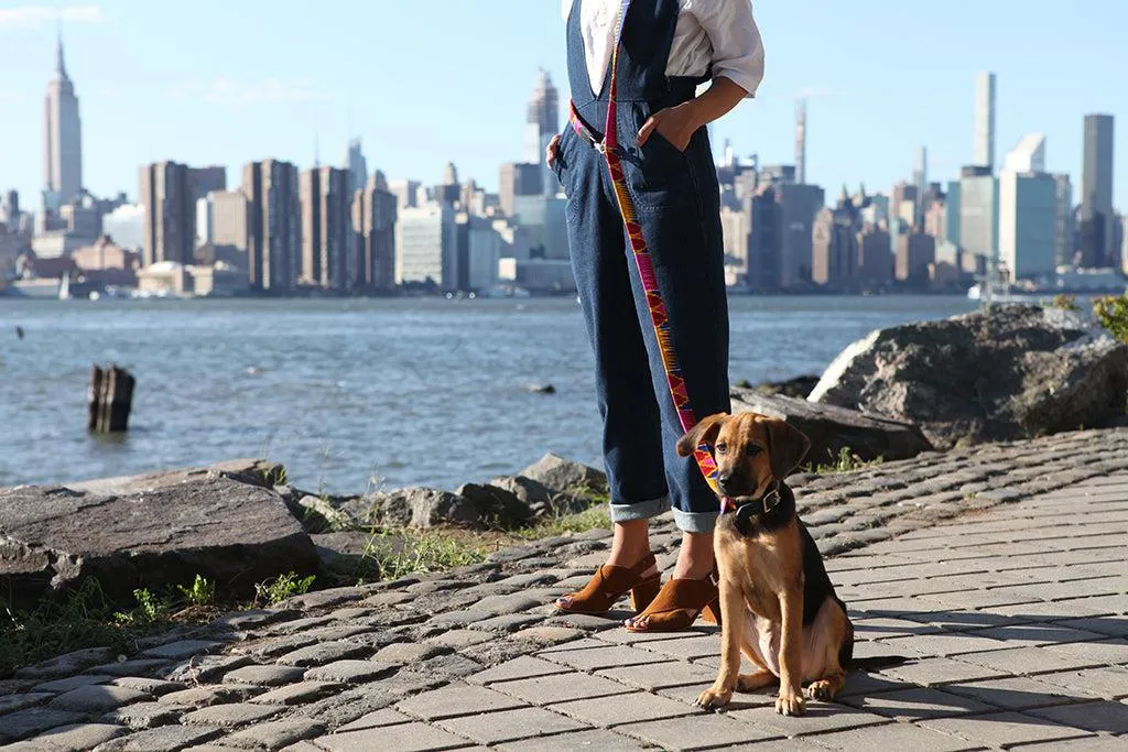 Dakar Hands Free (Coupler) Dog Lead