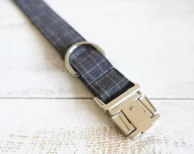Designer Dog Collar & lead