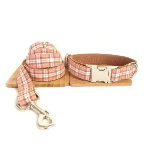 Designer Dog Collar & lead