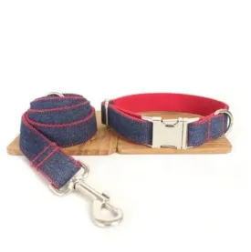 Designer Dog Collar & lead