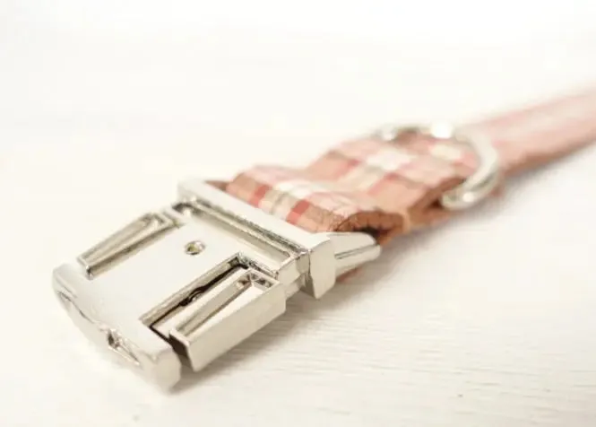 Designer Dog Collar & lead