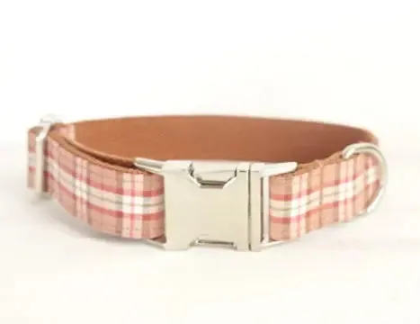 Designer Dog Collar & lead