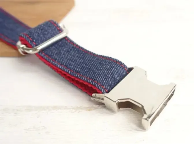 Designer Dog Collar & lead