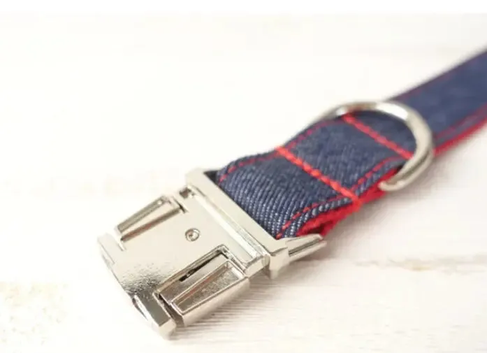 Designer Dog Collar & lead