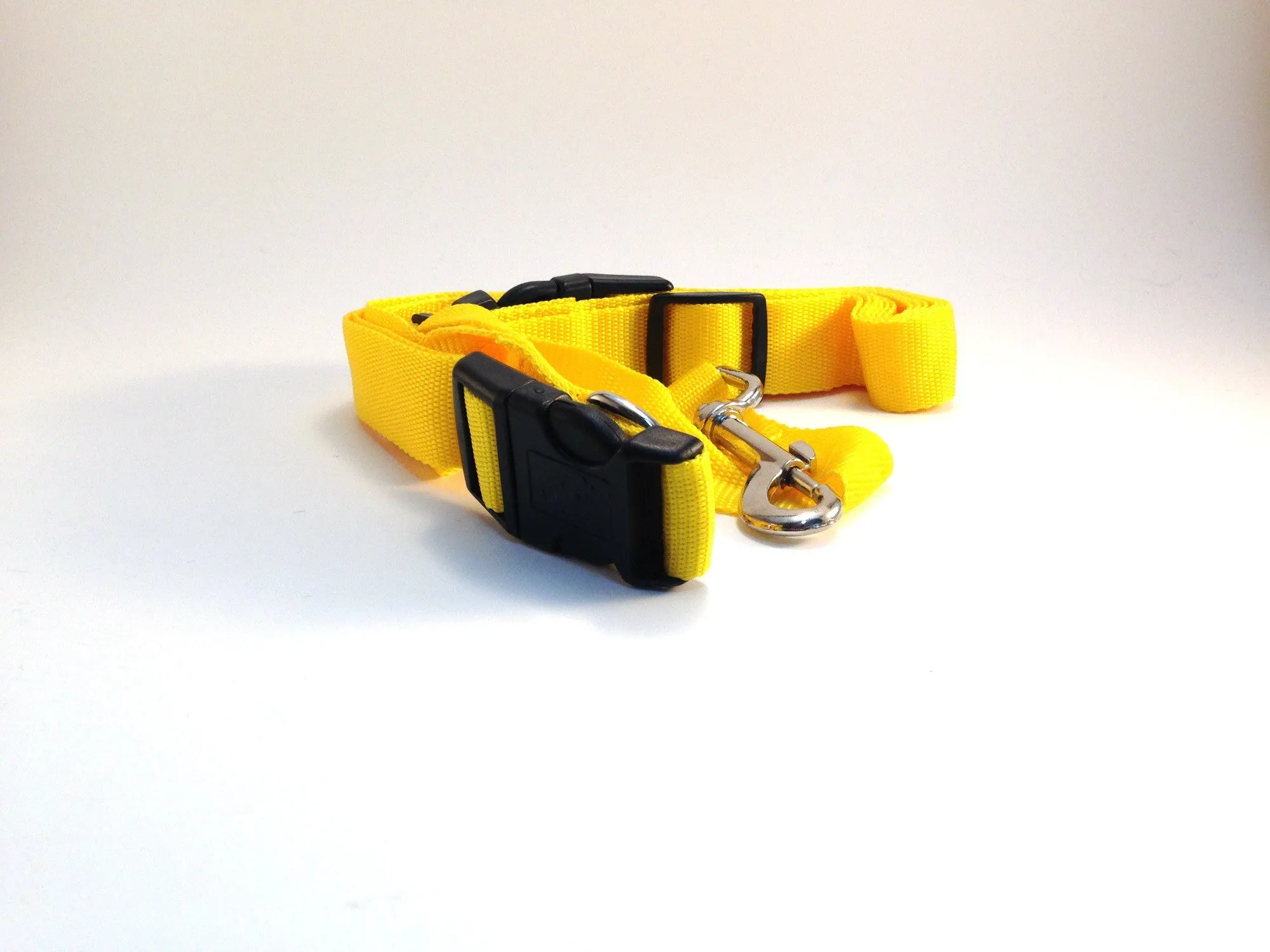 Hands Free Leash
