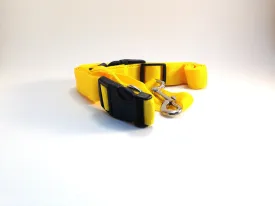 Hands Free Leash