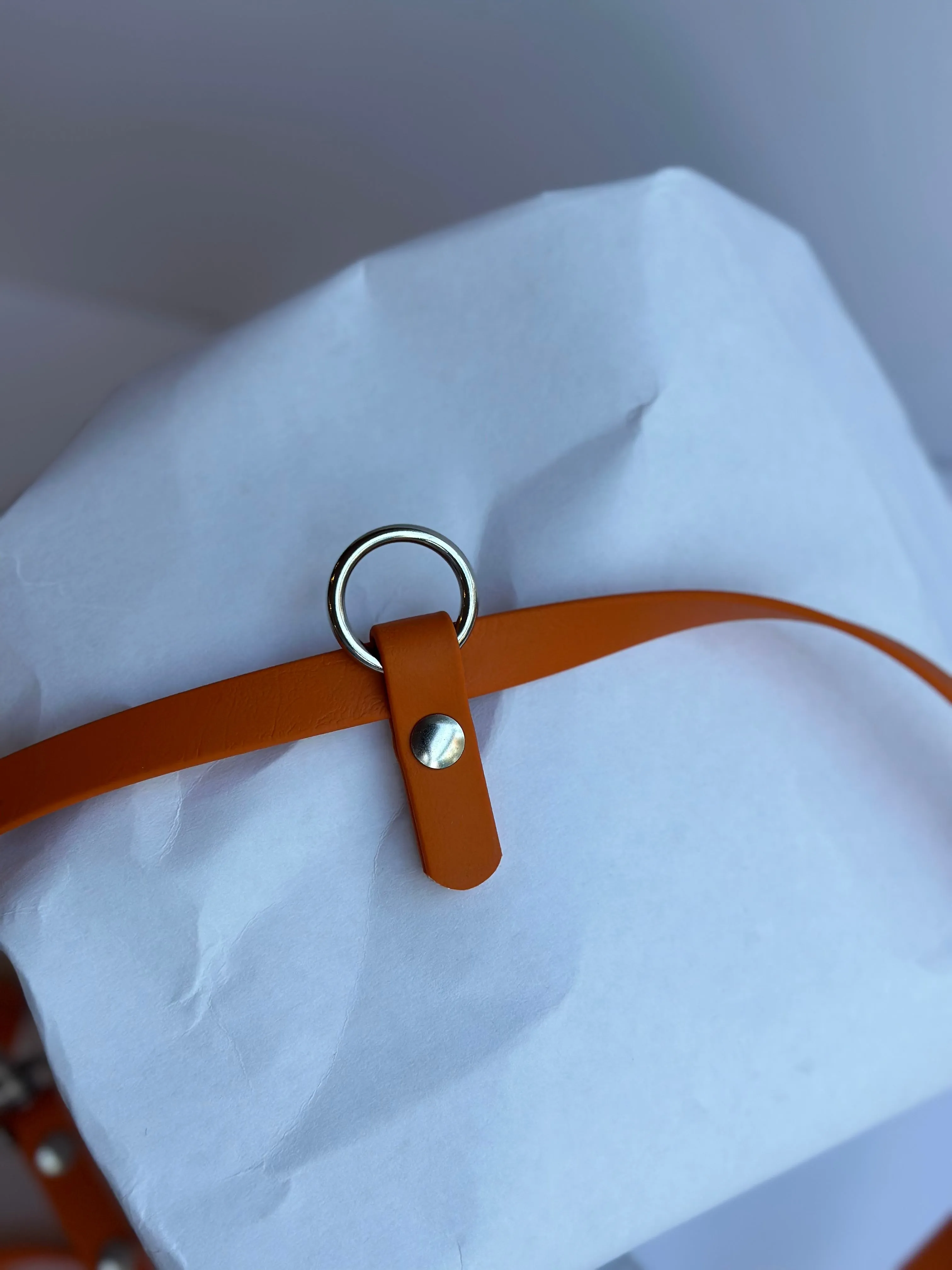 Limited Edition: Walk By Good Boy - the Any Way Lead - Pumpkin