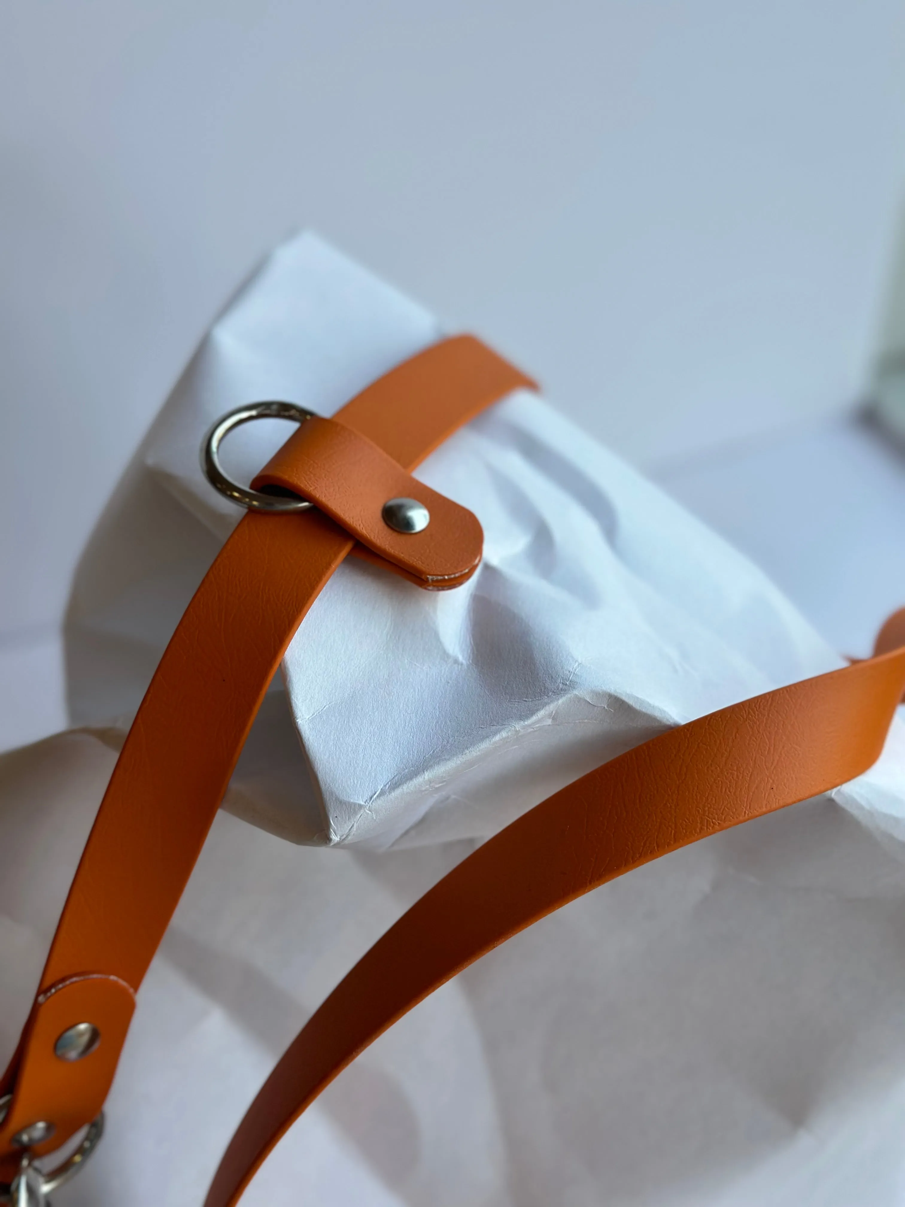 Limited Edition: Walk By Good Boy - the Any Way Lead - Pumpkin