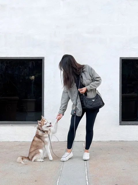 Sunny Tails 4-in-1 Hands Free Leash - Black