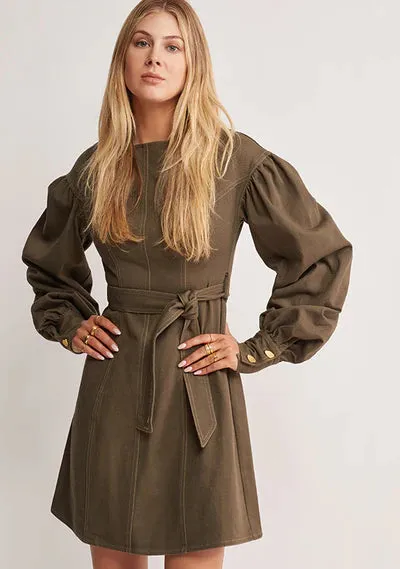 Waterlily Denim Mini Dress