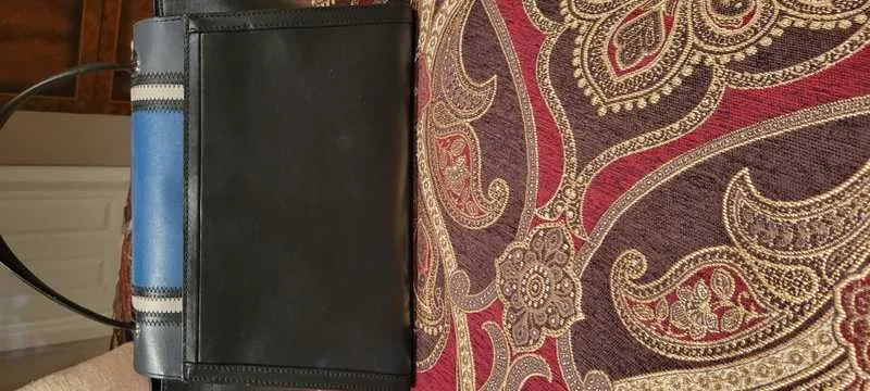 Whitney Large Tri-Color Leather Satchel